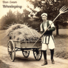 Béreslegény