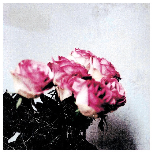 雨色日記 (Rain-Colored Diary)