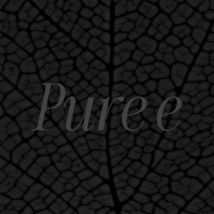 01 pure E
