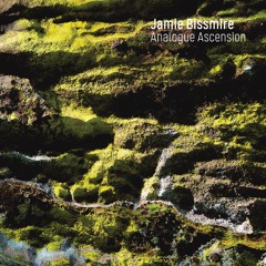 B1 Jamie Bissmire - TheTapestry Of Fate