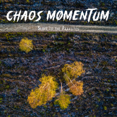 Chaos Momentum - Slave to the Parasites [Hypocrisy Cover]