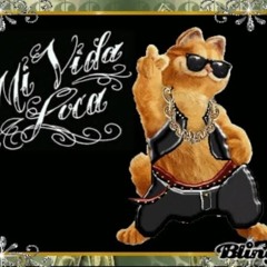 Eddiez.wav #rockaetton