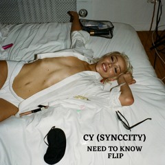 CY (SYNCCITY) - Need To Know FLIP