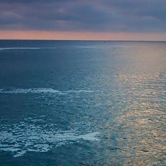 WAVE - JR