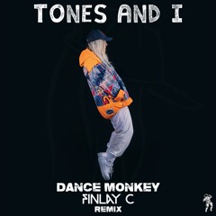 Dance Monkey (FINLAY C Remix)
