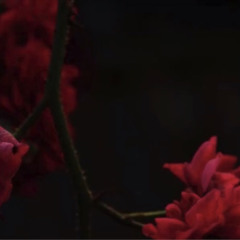 Drake “Call On Me” *UNRELEASED CERTIFIED LOVER BOY*🔥