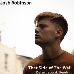 Josh Robinson - That Side Of The Wall (Dylan Jacomb Remix)