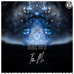 Shabboo Harper - Follow Me (Original Mix)