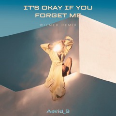 Astrid S - It's Ok If You Forget Me (Wilmer Remix)