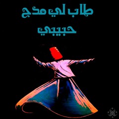 طاب لي مدح حبيبي