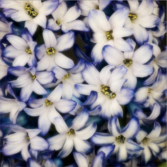 Fluorescent (Deep Dubstep)