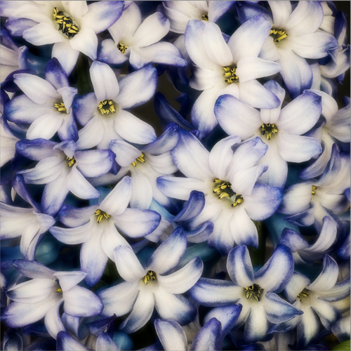 Fluorescent (Deep Dubstep)