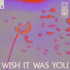 Audien - Wish It Was You ft. Cate Downey (wadnesday Remix)