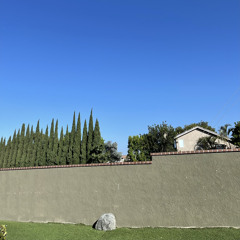 round2.wav (christine)