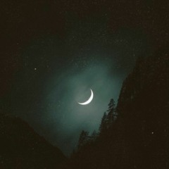 XTC. - Moonlight (Prod. Goldzyadig)