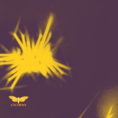 REC001.WAV (PORTAL_MIX)