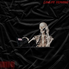 Lowlife DeMario-Widebody Rmx