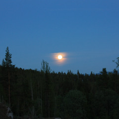 Psymbiosis - To The Perfect Day Mp3