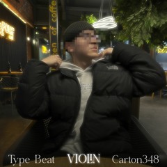 Vioin Type Beat Carton348