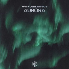 Martin Garrix & Blinders - Aurora vs In The Name Love (JoeBrooker Remake)