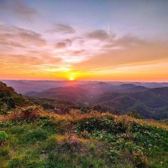 My Ole Kentucky Home Suite