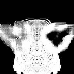 infection/