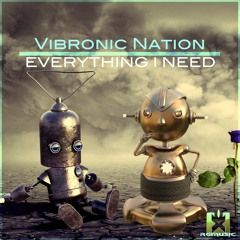Vibronic Nation feat. Debbiah - Everything I Need - SINGLE - OUT NOW - JETZT ERHÄLTLICH!
