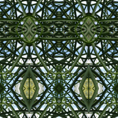 Meandering the Rhizome