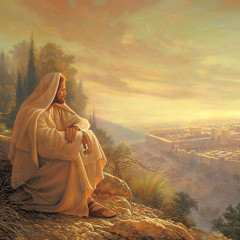 Sermon for 10 Trinity: "The Tears of Christ"