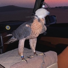 غرنوقه // عبيد بن سرحان