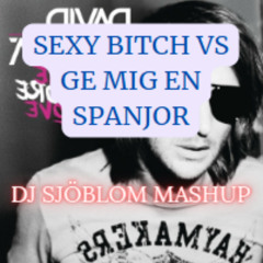 Ge Mig En Spanjor x Sexy Bitcsh (DJ Sjöblom mashup)