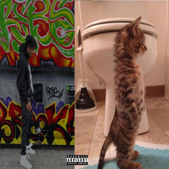 mollyraw ft nayy (prod revivedcasket)