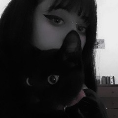 kitty