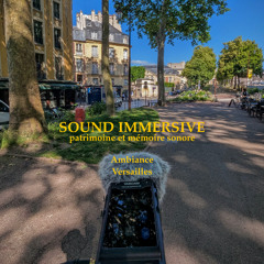 Field Recording Avenue de Sceaux Versailles