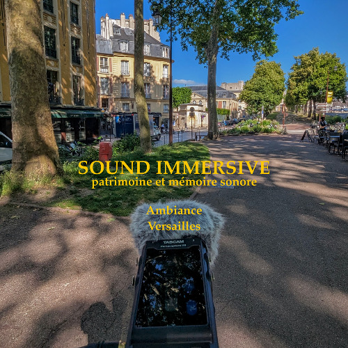 Field Recording Avenue de Sceaux Versailles