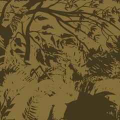 TL PREMIERE : dynArec - Clock Report [Diffuse Reality Records]