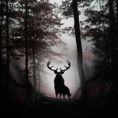 ♠️Dark - PsyCore - Forest♠️