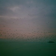 S35: Short Cuts: Soundscape 6/8