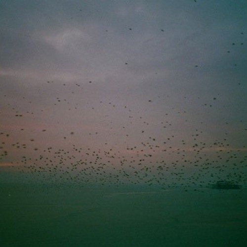 S35: Short Cuts: Soundscape 6/8