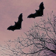 kidsnorlax - no longer/ascend (prod. spyrul + heroinsucca) >>nightcore<<