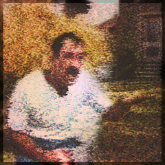 the straits of johor