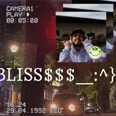 BLISS$$:^)