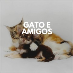Regal Feline Calming Music for Your Cat, Pt. 38