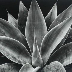 mnml 02