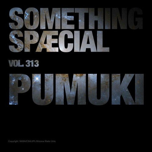 PUMUKI: SPÆCIAL MIX 313