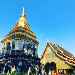 ADHDJ -  Music Is Therapy