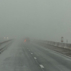 i feel nothing (+veil)