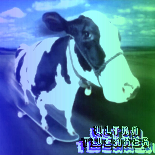 4. Bitches n Budweiser