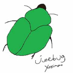 junebug