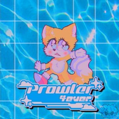 Prowler  43vER RIM3x
